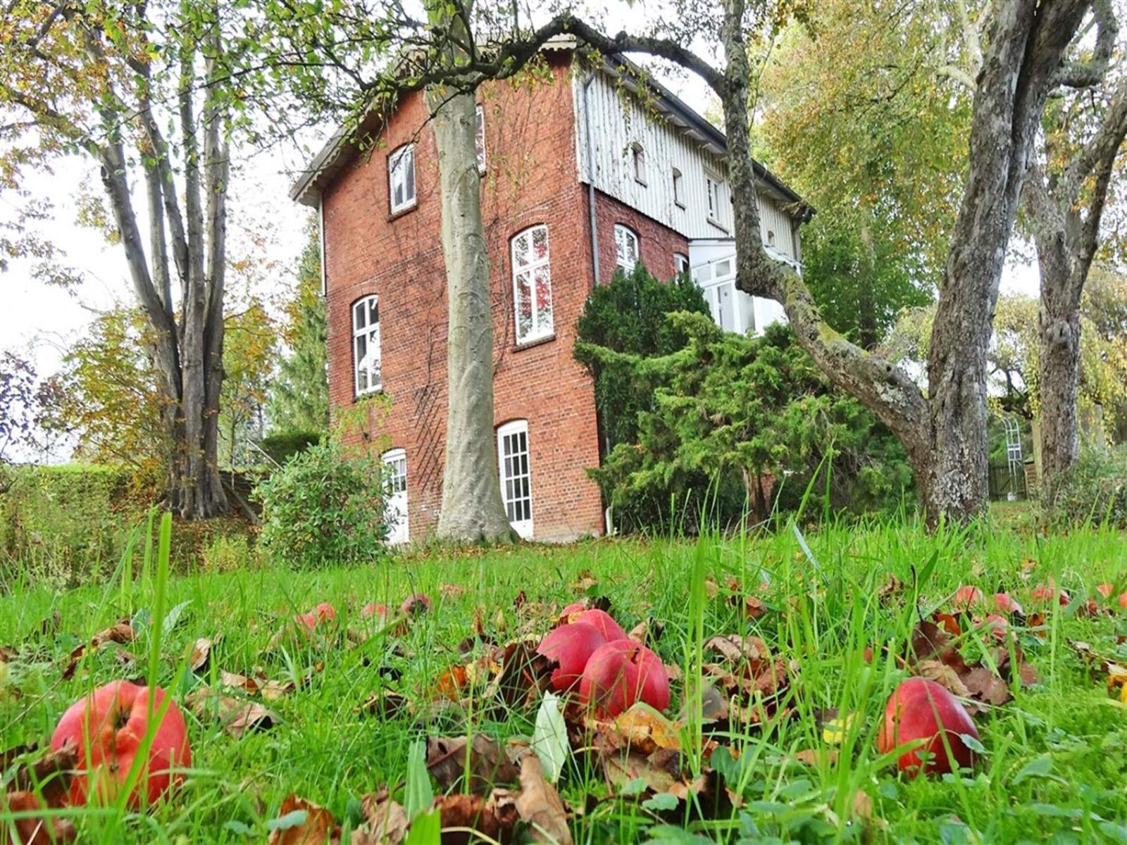 Ferienhaus Naturlich Wassermuhle Kappeln Exteriör bild